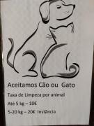 Top Miranda do Douro