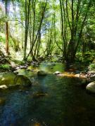 Top Santo António das Areias