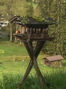 Top Kitzbühel