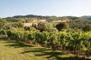 Top San Gimignano