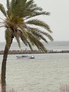 Top Ouled Yaneg