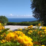 Top Marina di Camerota