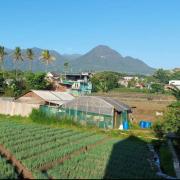 Top Batu