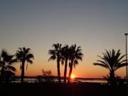 el molino de viento flat