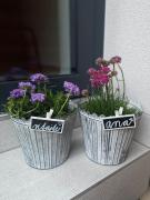 Apartmán ANA Apartmán ANA