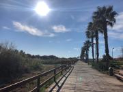 Top Torre de la Horadada