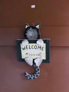 Top Heidenau Top Heidenau