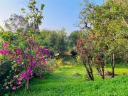 Top Madikeri