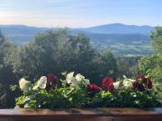 Top Łysina Top Łysina