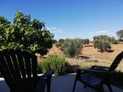 Top Pedrógão Top Pedrógão