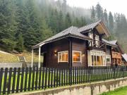 Top Krasnyy
