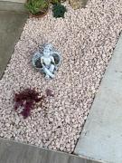 Top Sveti Jurij ob Ščavnici