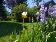 Top Saint-Jean-de-Maurienne