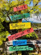 Top Rosario de la Frontera