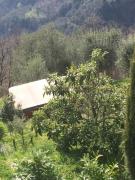 Top Coreglia Antelminelli