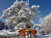 Top Bělá pod Pradědem