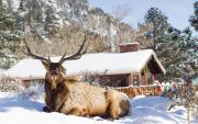 Top Estes Park