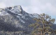 Top Estes Park