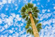 Top Scottsdale