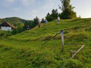 Top Begunje pri Cerknici