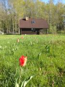 Guest Home "Būriņi"
