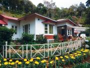 Top Munnar Top Munnar