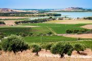 Top Trapani