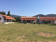 Top Tarti