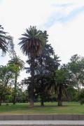 Excelente piso en el corazón de Palermo -5 PAX-