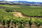 Top San Luis Obispo