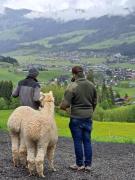 Top Kirchberg in Tirol