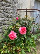 Top Champagne-et-Fontaine