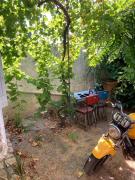 Top Avignon