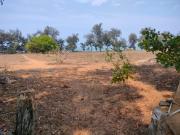 Top Canacona