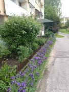 Top Lublin Top Lublin