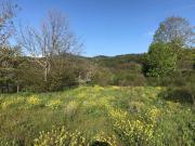 Top Camigliatello Silano Top Camigliatello Silano