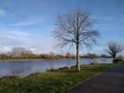 Top Frossay Top Frossay