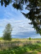 Top Ahlbeck