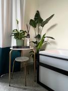 Top Piano di Sorrento