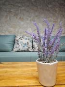 Dalmatia Rustica comfortable one bedroom+fireplace