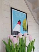 Top Sasino Top Sasino