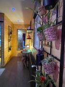 Top Saint-Amand-les-Eaux