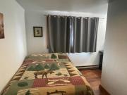 Brown Bear Saloon & Motel