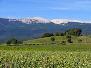 Petit gite de Provence