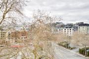Top Bellevue