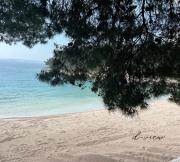 d-view Premium Mobile Home - panoramic seaview - 150 m from beach, free parking