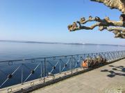 Top Meersburg