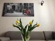 Top Lublin Top Lublin