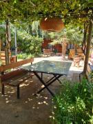 Top Santa Cruz Top Santa Cruz