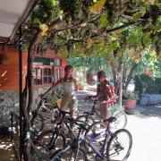 Top Santa Cruz Top Santa Cruz